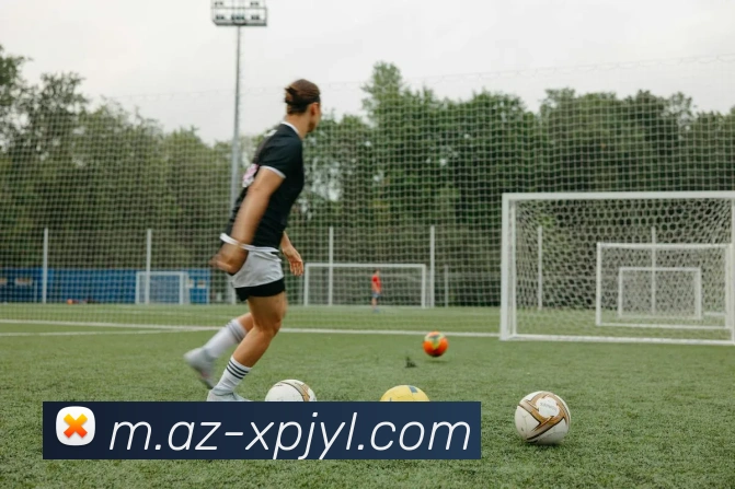 澳门新葡京娱乐平台生态图